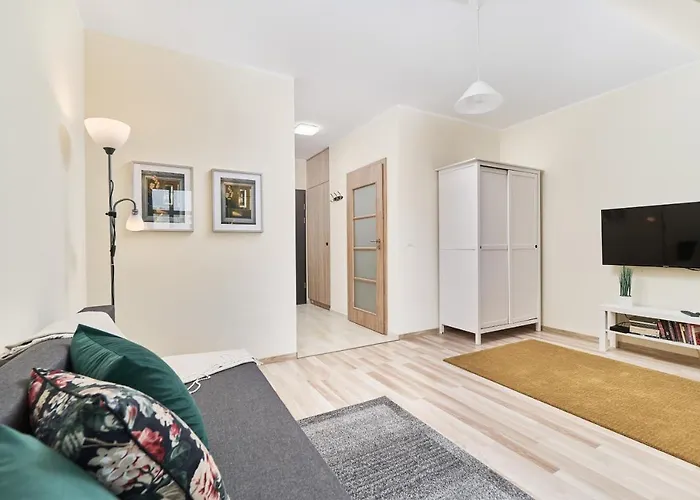 Under The Wroclove Sky By Renters *